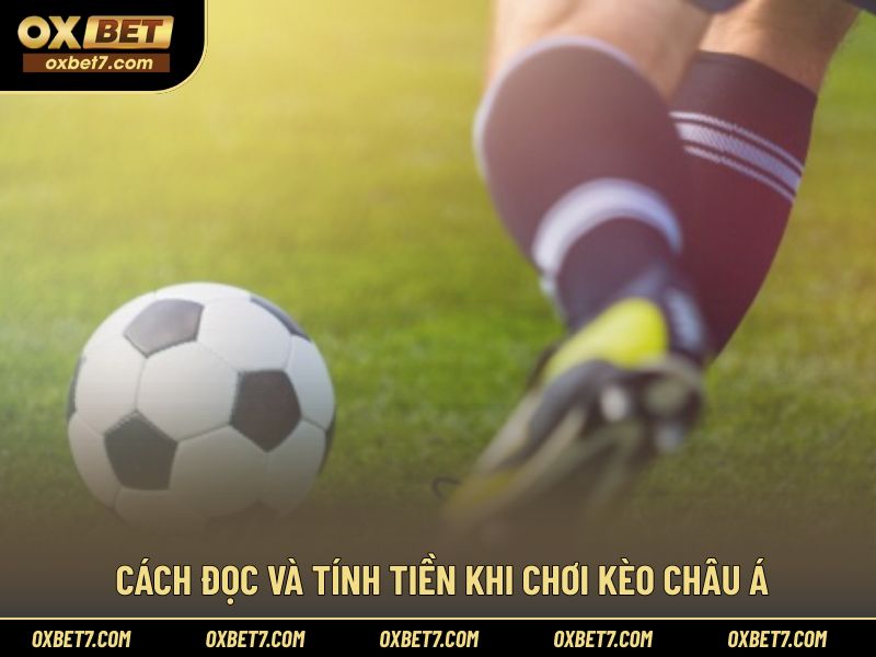 Hướng dẫn chi tiết về cách đọc kèo châu Á hiệu quả
